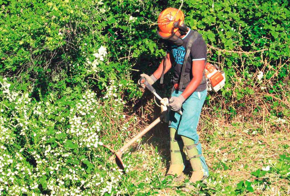 Débroussaillage de terrain dans le Var