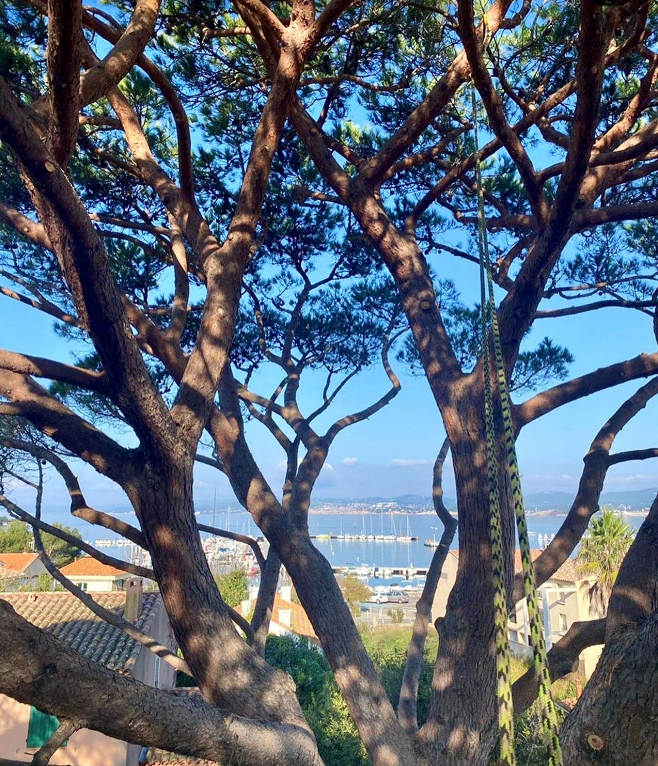 Diagnostique faunistique au Revest-Les-Eaux